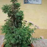 Casa Il Colle Del Vento Apartamento