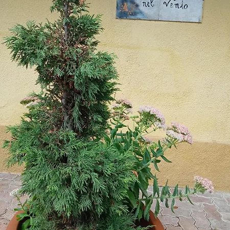 Casa Il Colle Del Vento 公寓