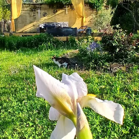 Casa Il Colle Del Vento * Calosso
